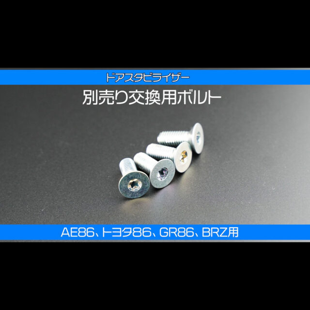 AISINドアスタビライザー交換用ボルト【DSL-SP02】